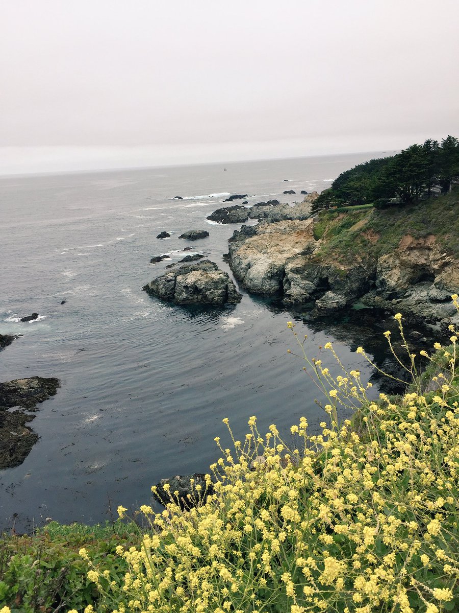 nanh407's tweet photo. Loving the CA coast #morrobay  #relaxing https://t.co/sKR4MQlGWX