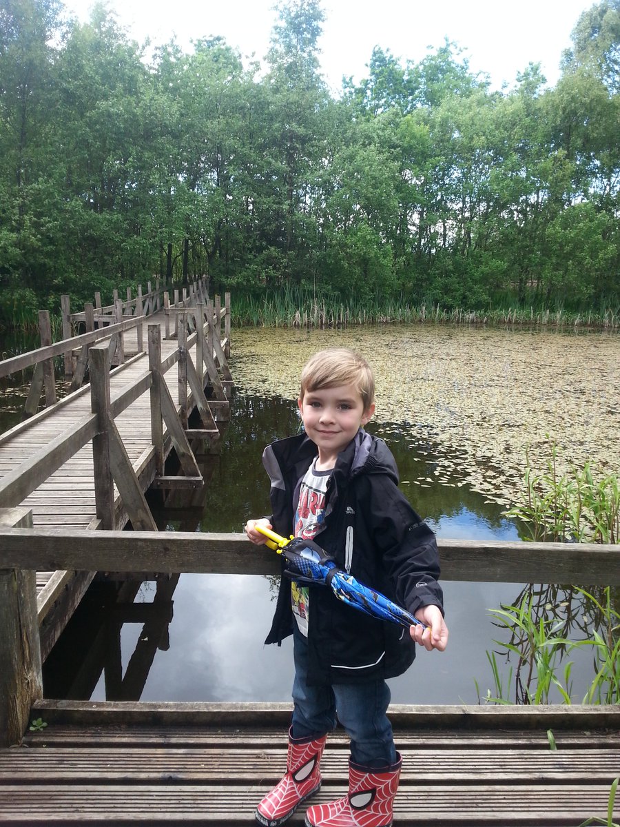 Sutherland1103's tweet photo. Blair telling us about the life cycle of a frog @morayp1s #jupiterurbanwildlife #pondlife #familywalk #doithomework https://t.co/Cu3DwfqcMz