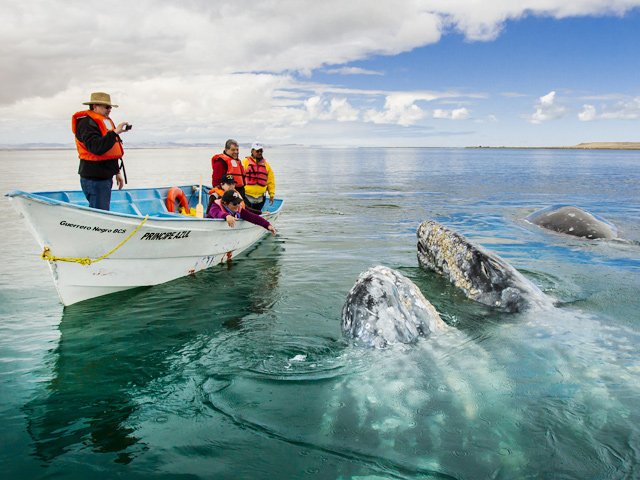 TripperTravelap's tweet photo. Descubre #LaPaz con #TripperTravelGuide 
https://t.co/TqmAtQdM4C https://t.co/bHDCNG2aWG