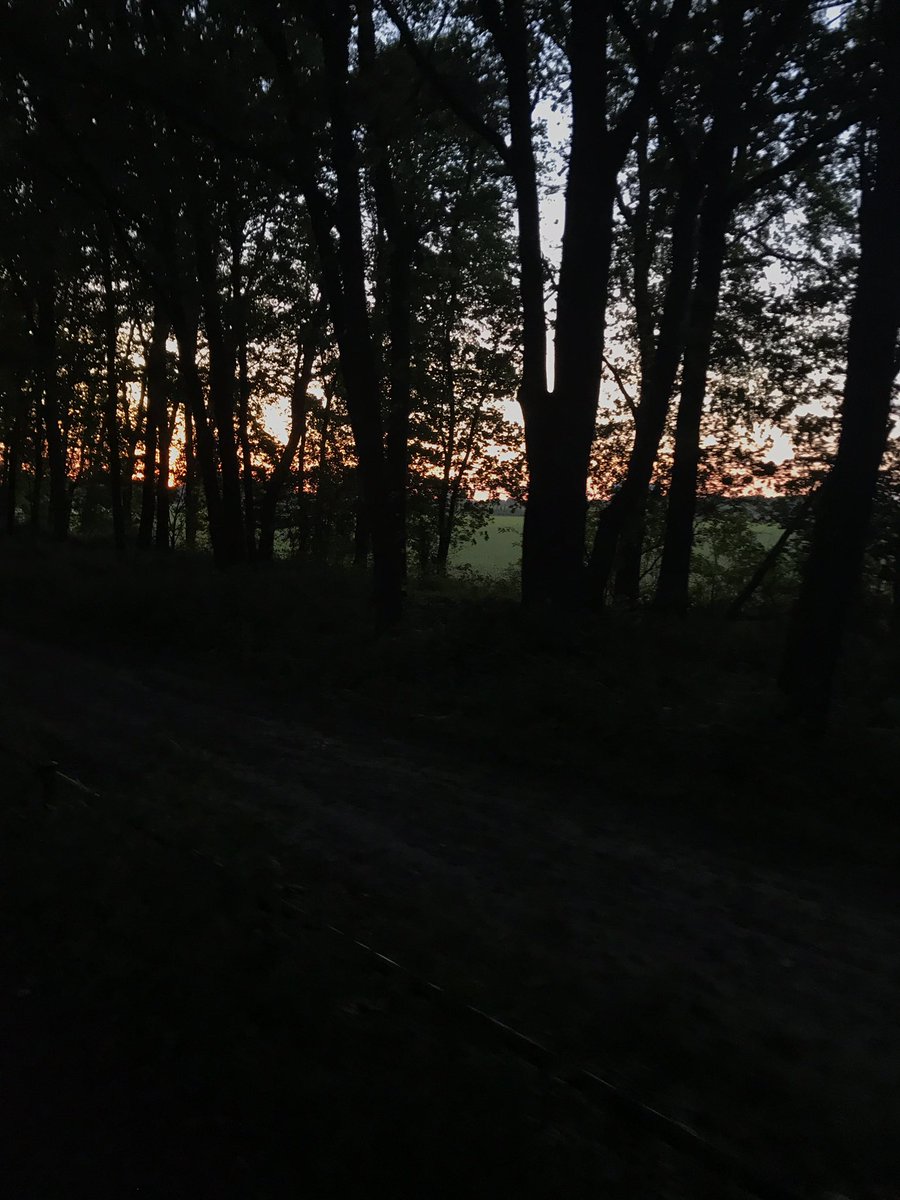 Sebastinosa's tweet photo. Mesmerizing 💫 https://t.co/FLv0dKfq8X