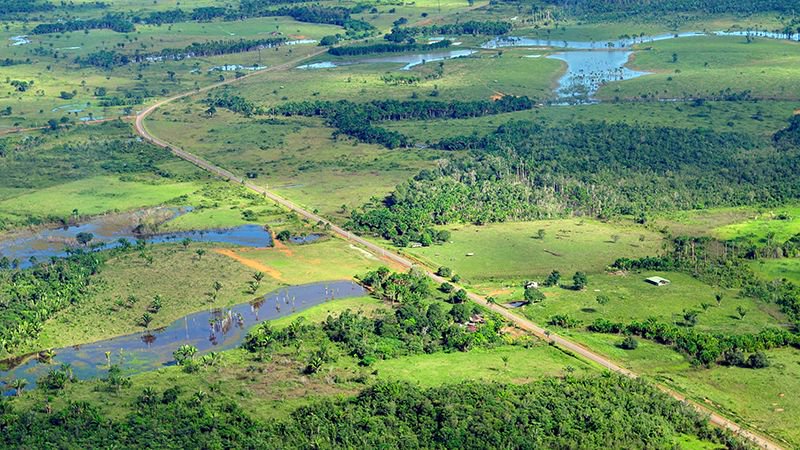 cpeartree's tweet photo. #Brazil's Temer urged to veto rollback of #forest protections https://t.co/LA2dgnGtSM #climatechange #deforestation #landrightsnow https://t.co/2vB4DhpkYG