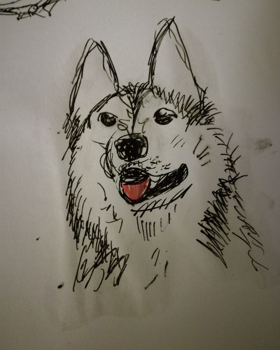 h_d_designs's tweet photo. Dog sketch! https://t.co/YROQfS1rqn