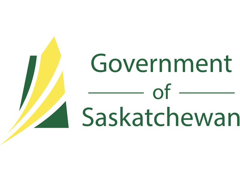 Bear Treed in Saskatoon - Dies dlvr.it/PH42Hx https://t.co/cNX3obFK8z