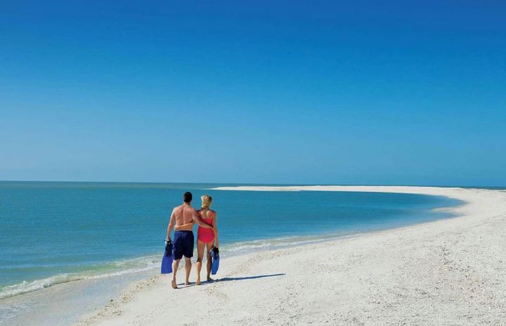 The Inn on Fifth tweet media