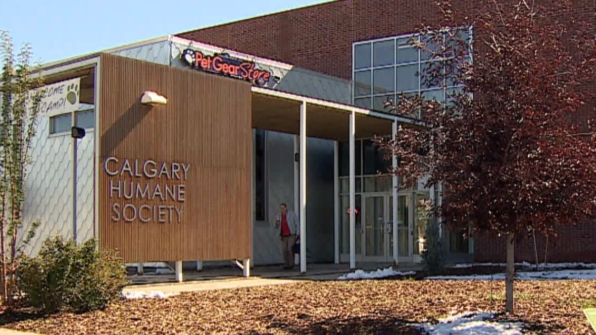 mycnf's tweet photo. FB Live: We are at the Calgary Humane Society; 1 of our Change 4 the Earth organizations in June. Tune in at 1:00pm Thursday. #calgaryhumane https://t.co/ofhHUvxgpH