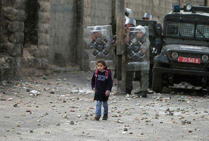 XaviMoralesPR's tweet photo. @AP #WonderWoman #BDS #HumanShield #RubbleBucketChallenge https://t.co/zXkguSsuF7