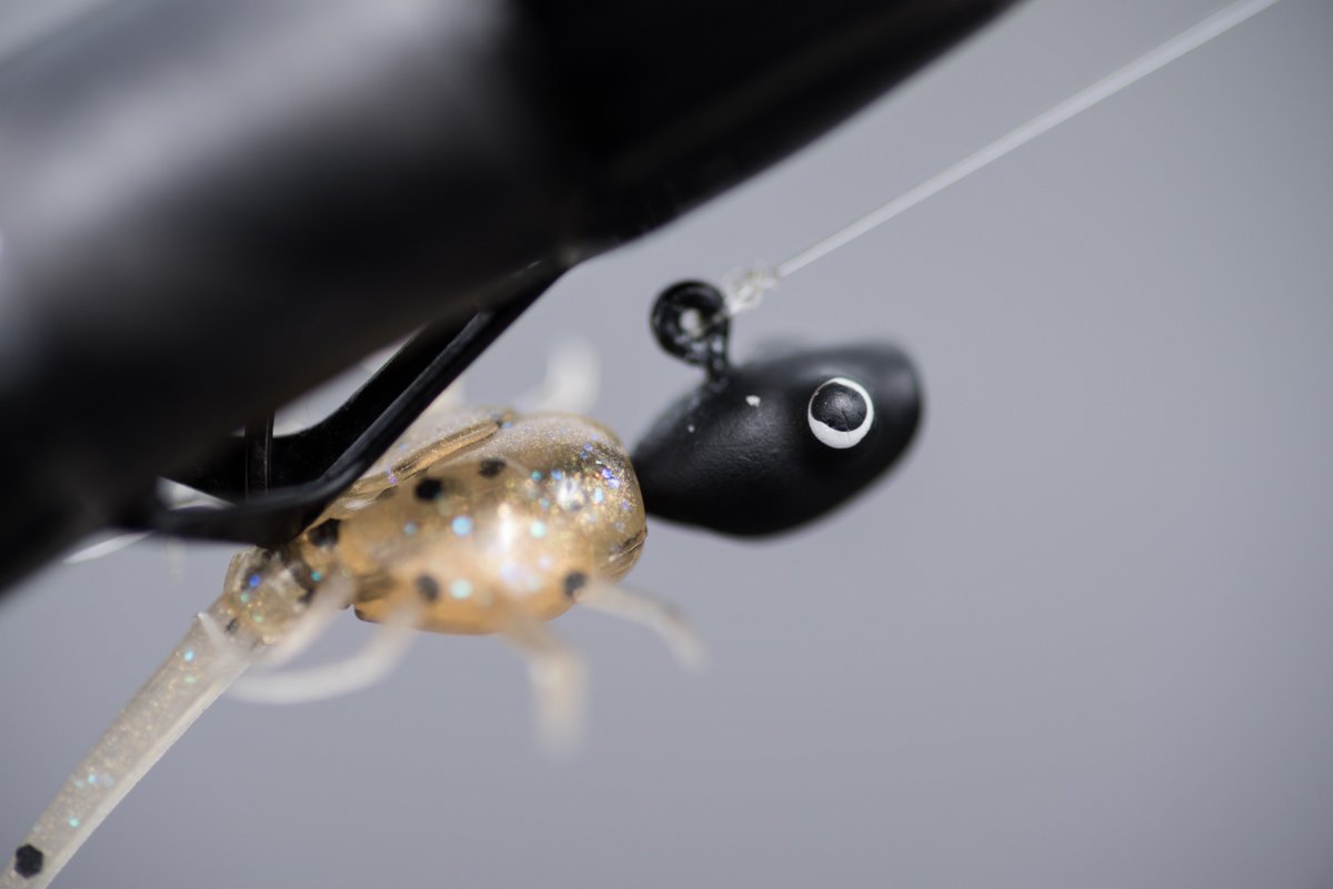 13fishing tweet picture