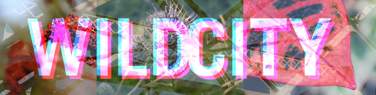 SubtleTech's tweet image. Installation/Outdoor Classroom/Part Food Sharing Ceremony: Wild City is a project that will animate @EvergreenCanada subtletechnologies.com/wild-city/