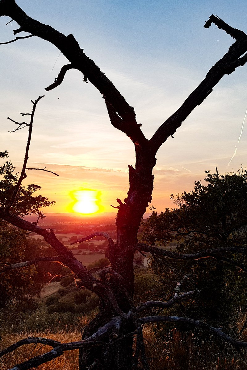 lorenzoborgia's tweet photo. #sunset #old #montegualandro #castel #Cortona #Tuoros #border #Valdichiana #Trasimeno #Tuscany #Umbria #italy #travel #nature #Trasimenolake https://t.co/FY1vBxJeIn