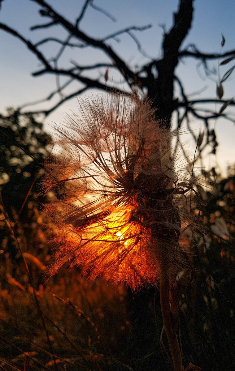 lorenzoborgia's tweet photo. #sunset #old #montegualandro #castel #Cortona #Tuoros #border #Valdichiana #Trasimeno #Tuscany #Umbria #italy #travel #nature #Trasimenolake https://t.co/FY1vBxJeIn