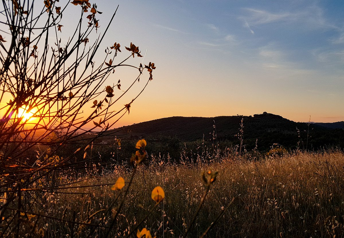 lorenzoborgia's tweet photo. #sunset #old #montegualandro #castel #Cortona #Tuoros #border #Valdichiana #Trasimeno #Tuscany #Umbria #italy #travel #nature #Trasimenolake https://t.co/FY1vBxJeIn