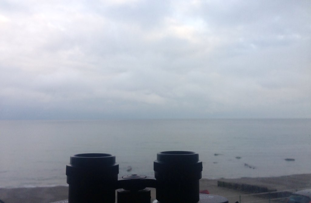 GethinJones123's tweet photo. @LeBamber @eddcoles More seawatching for me. As well as gannets and shearwaters, I spotted 12 eider duck flying past this morning. #NotWatchingSpringwatch https://t.co/WdYtrRJQMS