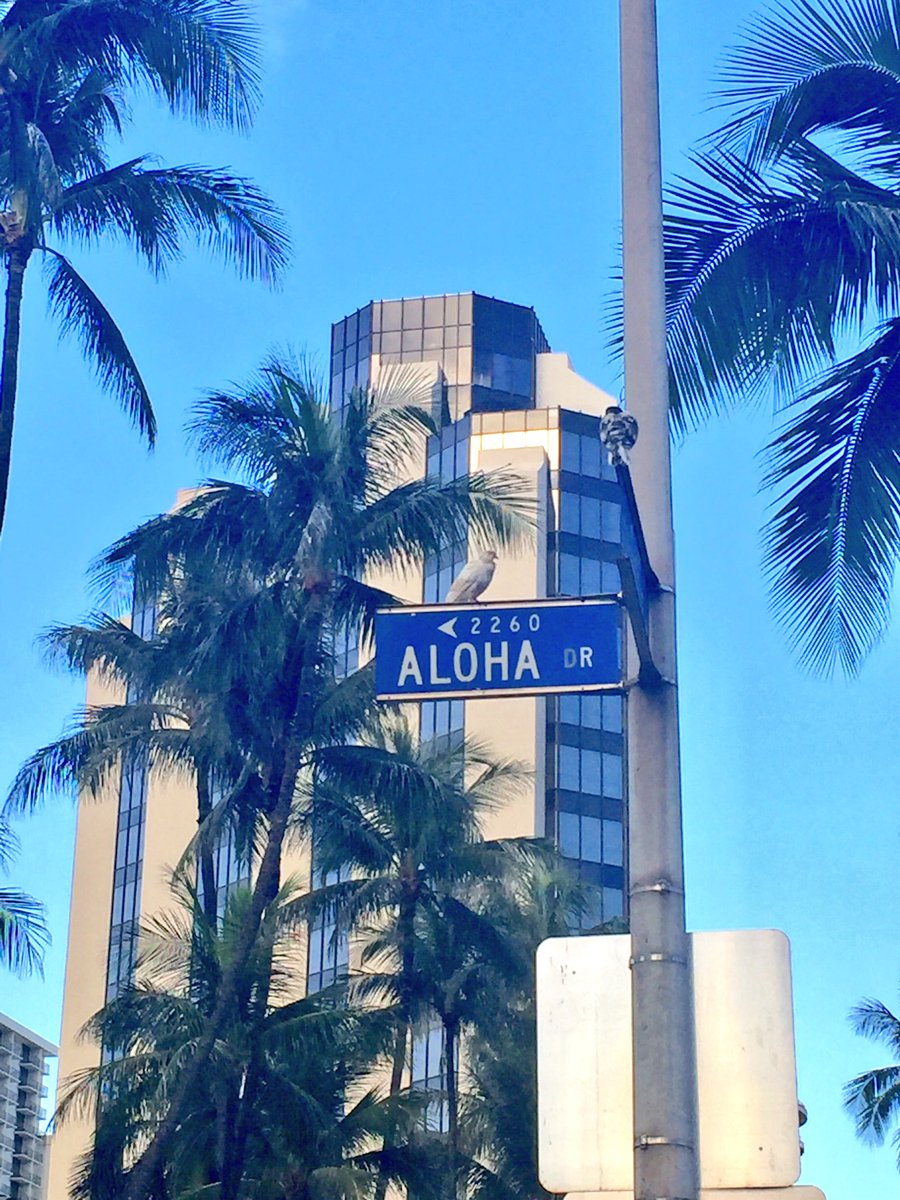 Daniel Simmons tweet media