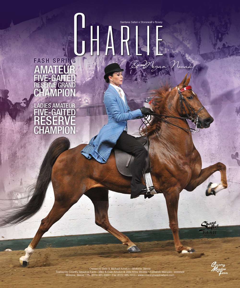 TNH1865's tweet photo. Charlie & Megan Novak
#nationalhorseman #fashspring #megannovak #countrymeadowfarm #5gaited #saddlebred https://t.co/ojYLfp7KZj