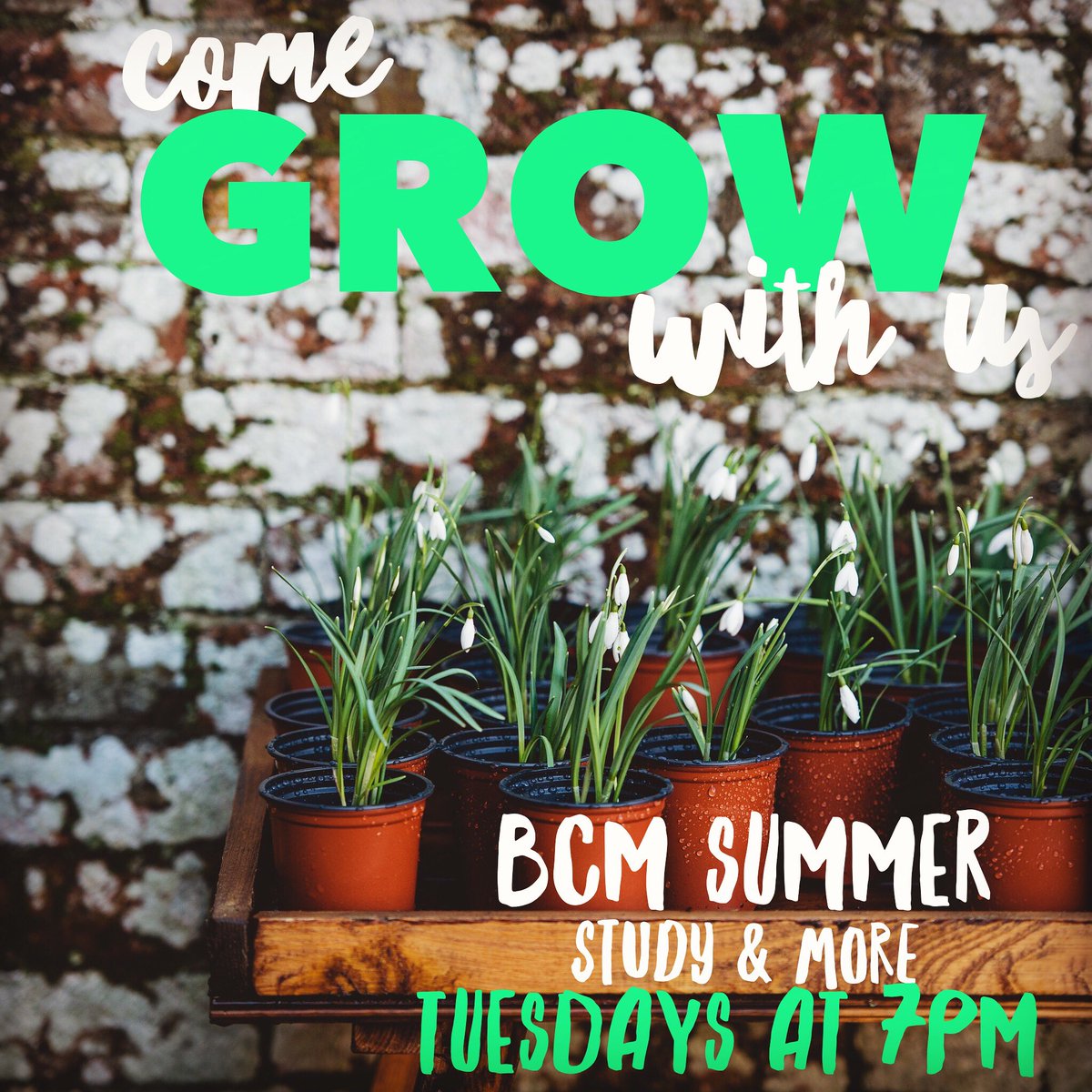 LaTechBCM's tweet photo. Starting next week (for June/July) JOIN LaTech BCM for bible study, games &amp; lots of fun on Tuesdays starting at 7! https://t.co/dWftUI1z3h