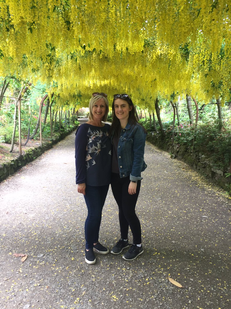 CarolBeard09's tweet photo. @BodnantGardenNT today #bodnantlaburnumarch #magnificent #Motheranddaughtertime https://t.co/koQ6RF3n9X