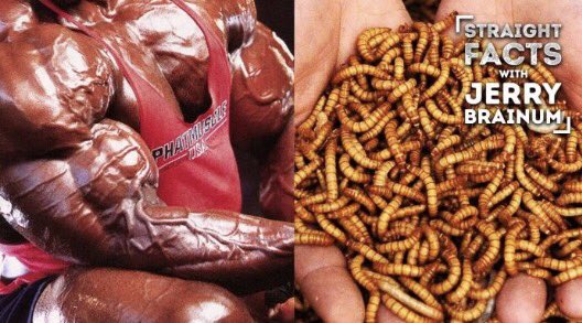 GenerationIron's tweet image. Thinking about injecting Insect hormones?? 📺 WATCH NEW #StraightFacts generationiron.com/straight-facts… #OriginalProgramming