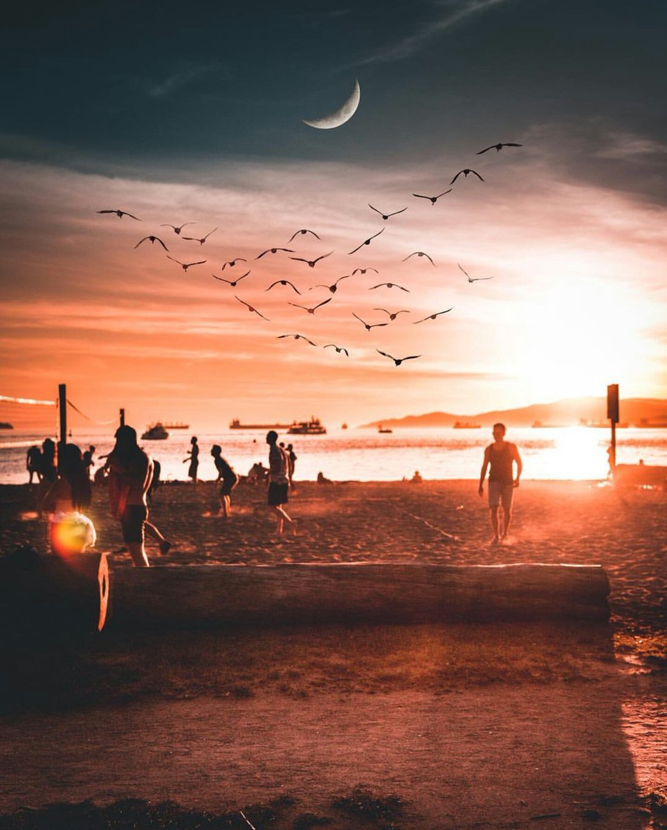 Sunset sessions. #EnglishBay

📷: instagram.com/98thvisual