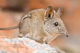 AssaultOnGrindhouse tweet media