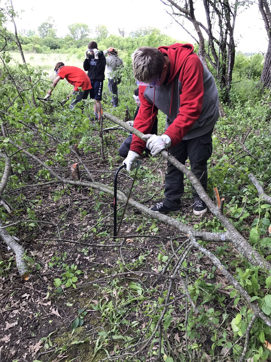 MrsJRedding's tweet photo. Group 2 tackling the buckthorn! #LearningFSD79 @SYmathprobs @FSD79 https://t.co/ytuY1O0Tk6