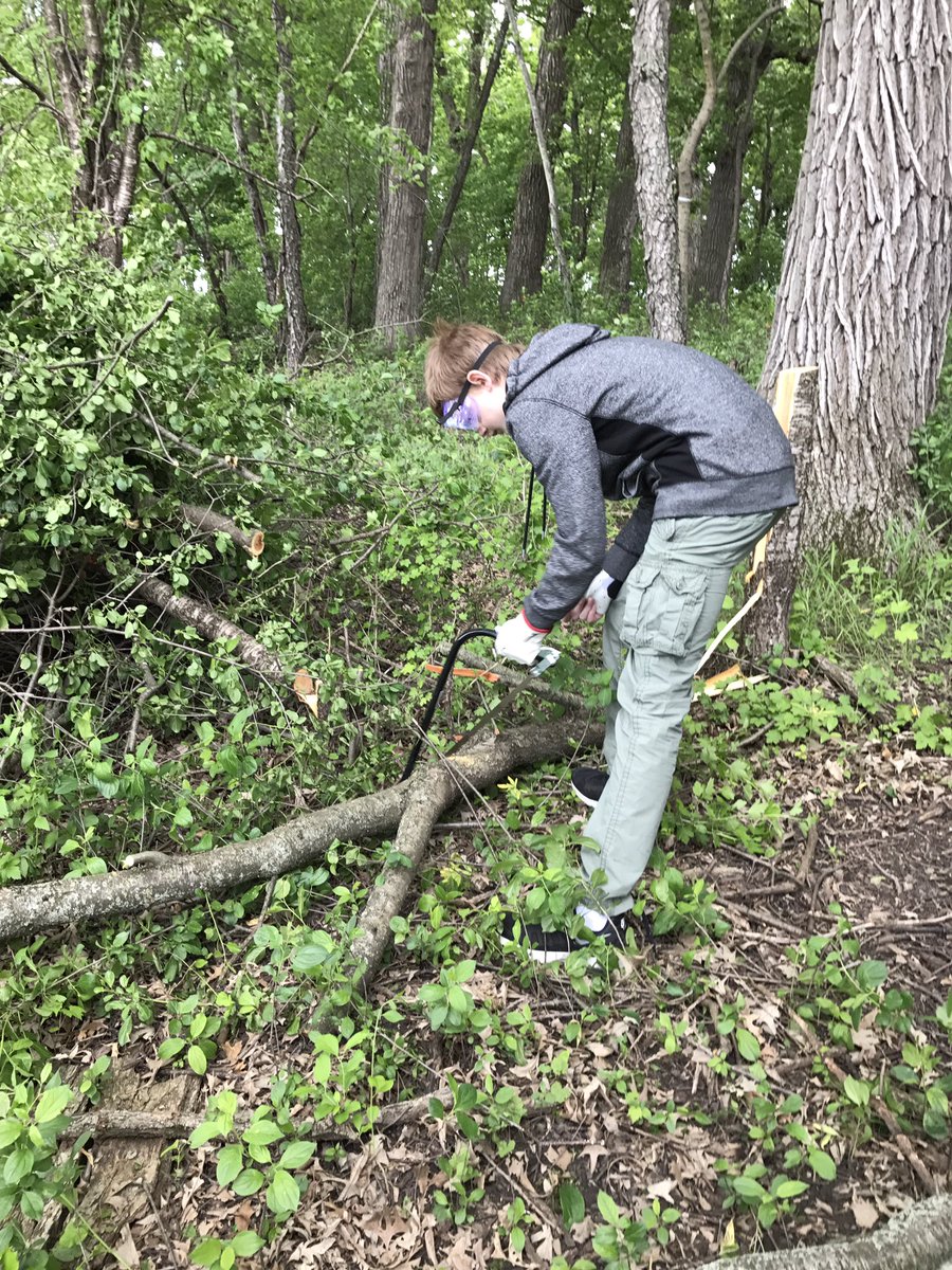 MrsJRedding's tweet photo. Group 2 tackling the buckthorn! #LearningFSD79 @SYmathprobs @FSD79 https://t.co/ytuY1O0Tk6