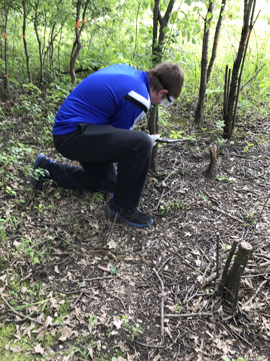MrsJRedding's tweet photo. Group 2 tackling the buckthorn! #LearningFSD79 @SYmathprobs @FSD79 https://t.co/ytuY1O0Tk6