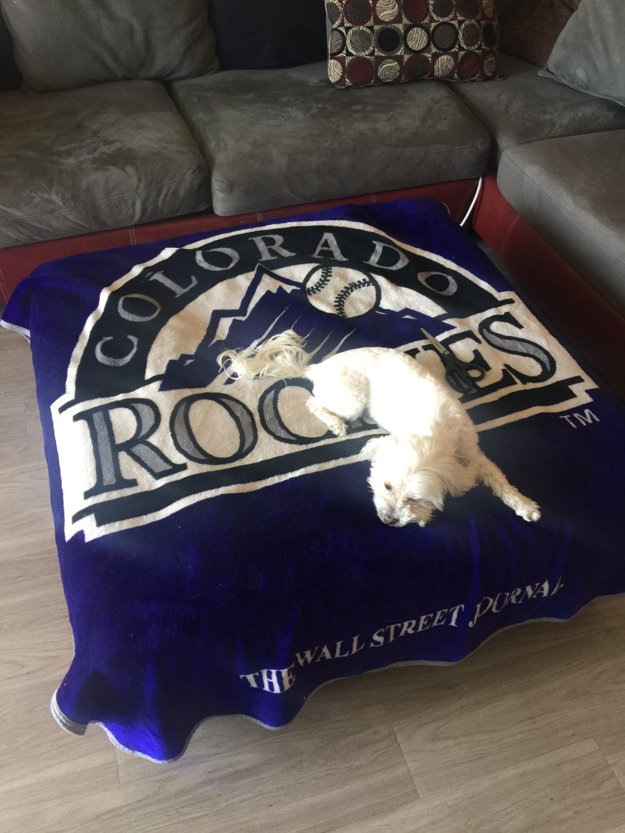 boyd_jory's tweet photo. Bell Bell wants to go to #BarkInThePark and watch @Rockies and @Chuck_Nazty hit a Home Run!! https://t.co/0Gr1T4SyKd