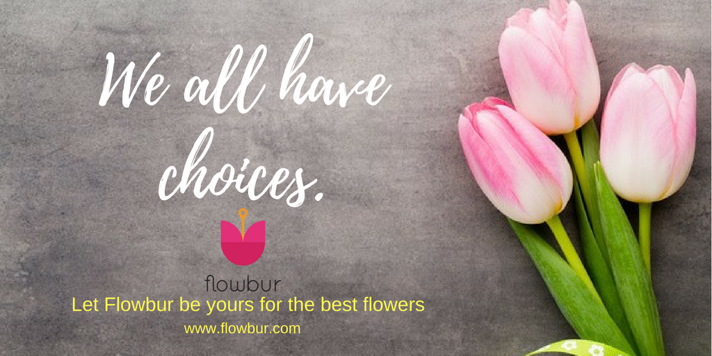 flowbur's tweet photo. We all have choices
#flowers #sendflowers #1800flowers #proflowers #teleflorist #fromyouflowers #flowbur https://t.co/Cou6Bci8zh