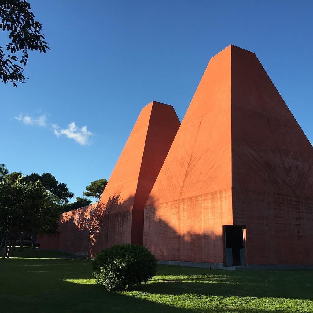 Made this crazy find during #goldenhour #tw