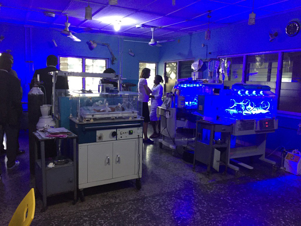 Rebecca Kortum tweet media