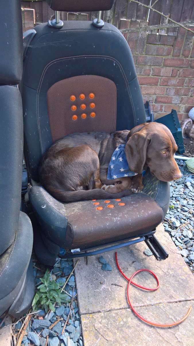 frankie and bennie (@valerietom) on Twitter photo 