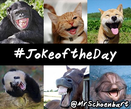 SchoenTellOHS's tweet photo. I just read through 6 pages in a dictionary.

I learned next to nothing.

#SchoenTell 
#JokeoftheDay https://t.co/0xuo0Z5oUz