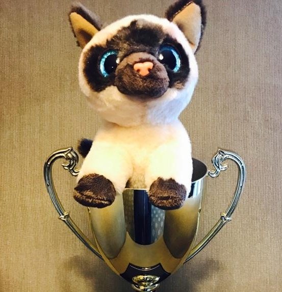 ARMA_NCR's tweet image. Scratch that, it isn&apos;t official without #imkitty #armacanada2017