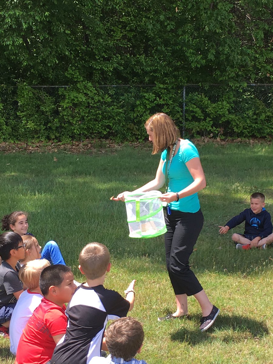 We released our butterflies today. Now, our butterflies can continue the life cycle and lay eggs. 🦋 #WeAreLamphere <a href="/SimondSuperstar/">Simonds Superstars |The Lamphere Schools</a>