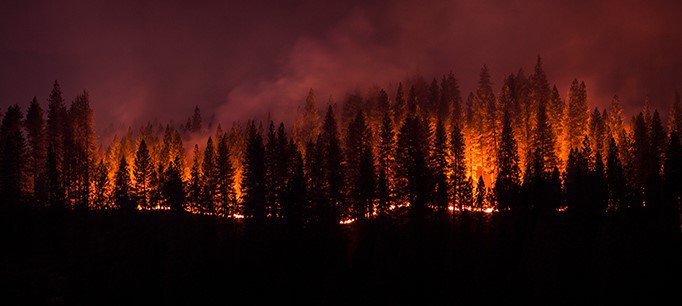 PPICWater's tweet photo. CA's 100 mn dead trees have implications for water supply, wildfire management, local economies- expert interview https://t.co/aYk3e6bgMg https://t.co/ajMkphWO13