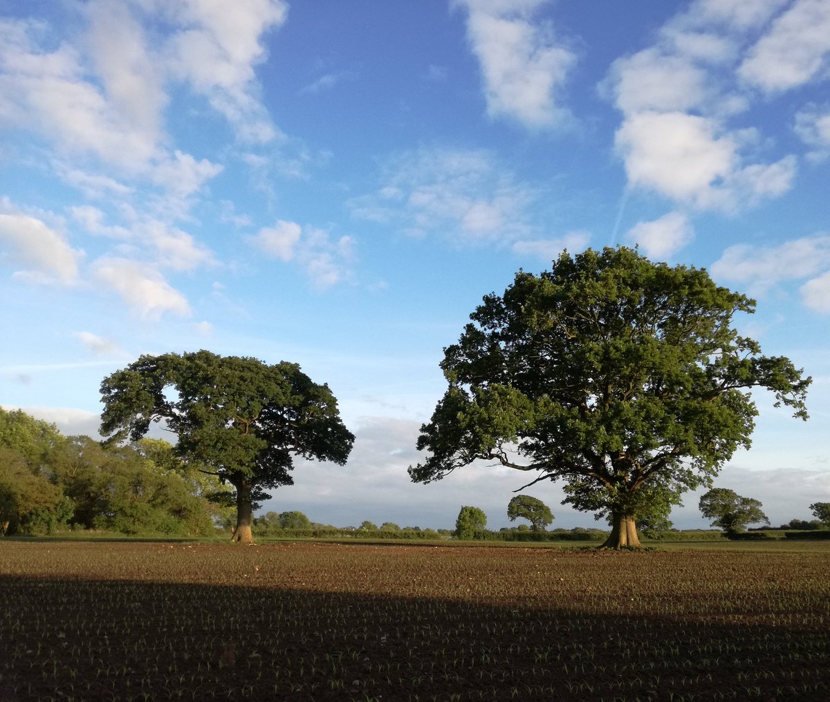Cracking night at practice tonight #cantbeatthatview #bonnynight #shireshead