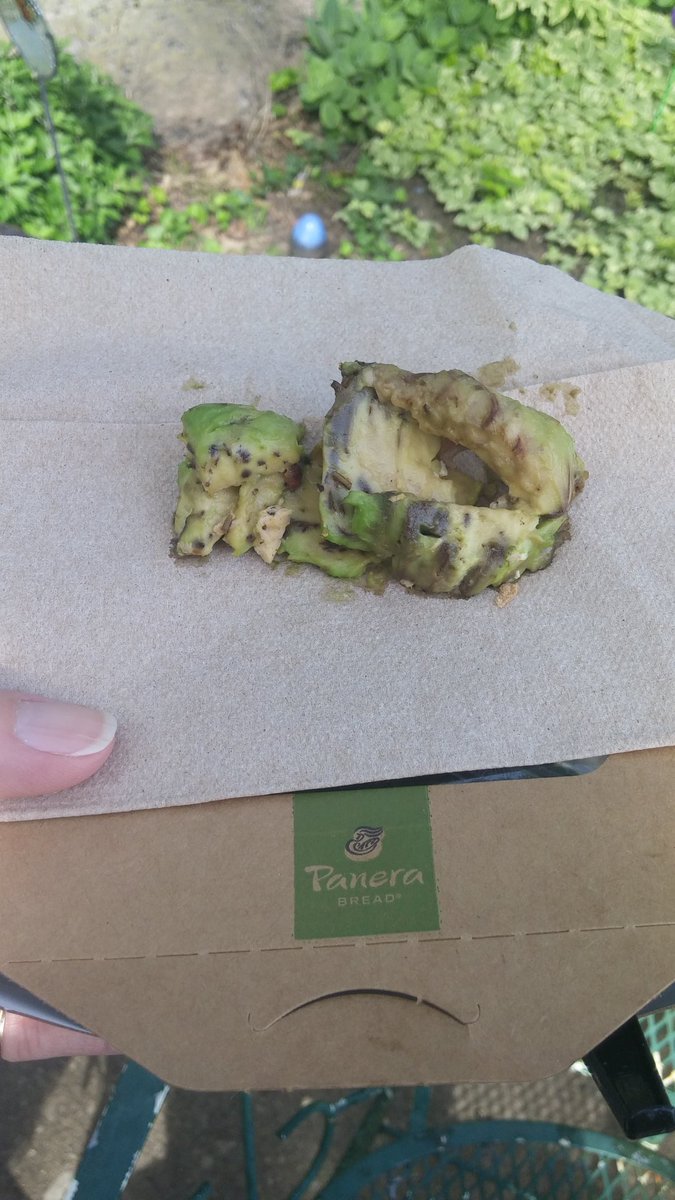 HallChelle's tweet photo. My avocado from #panera in my cobb salad was so unsightly, it shouldn't be served. #panera you failed my salad. #Yuck https://t.co/AOM1fulYP8