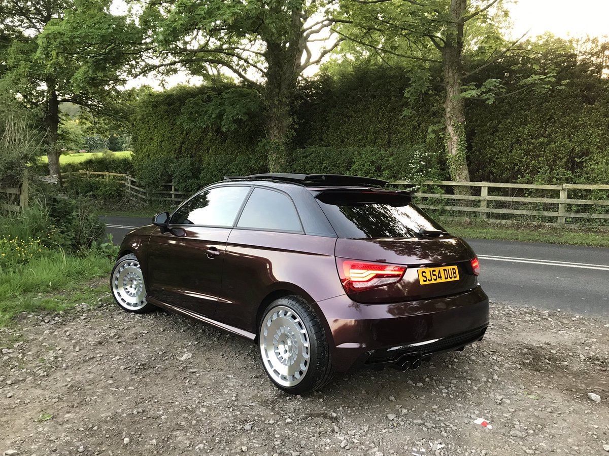 SamSanders54's tweet image. Dub... #blackrose #rotiform