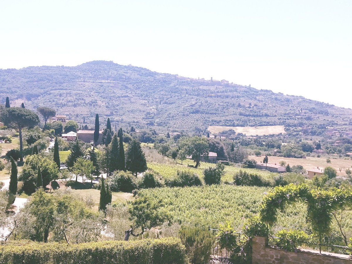 WSU_Noel_Schulz's tweet photo. Our home in Tuscany for 5 days @Ilfalconiere is a beautiful setting at foot of Cortona. #GoCougs https://t.co/x8LUvre4C1