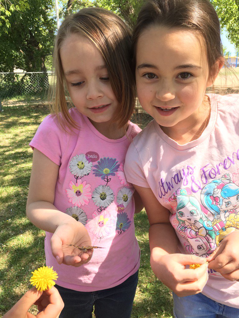 mscassidysclass's tweet photo. We held the Butterflies. We love the Butterflies. They are shy. https://t.co/CH7P112sQE