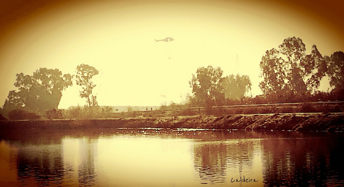 photoCaldeira's tweet photo. #exclusa #CuartelElCopero #RinconesDelGuadalquivir #smartphonephoto https://t.co/KDgNGLgSqe