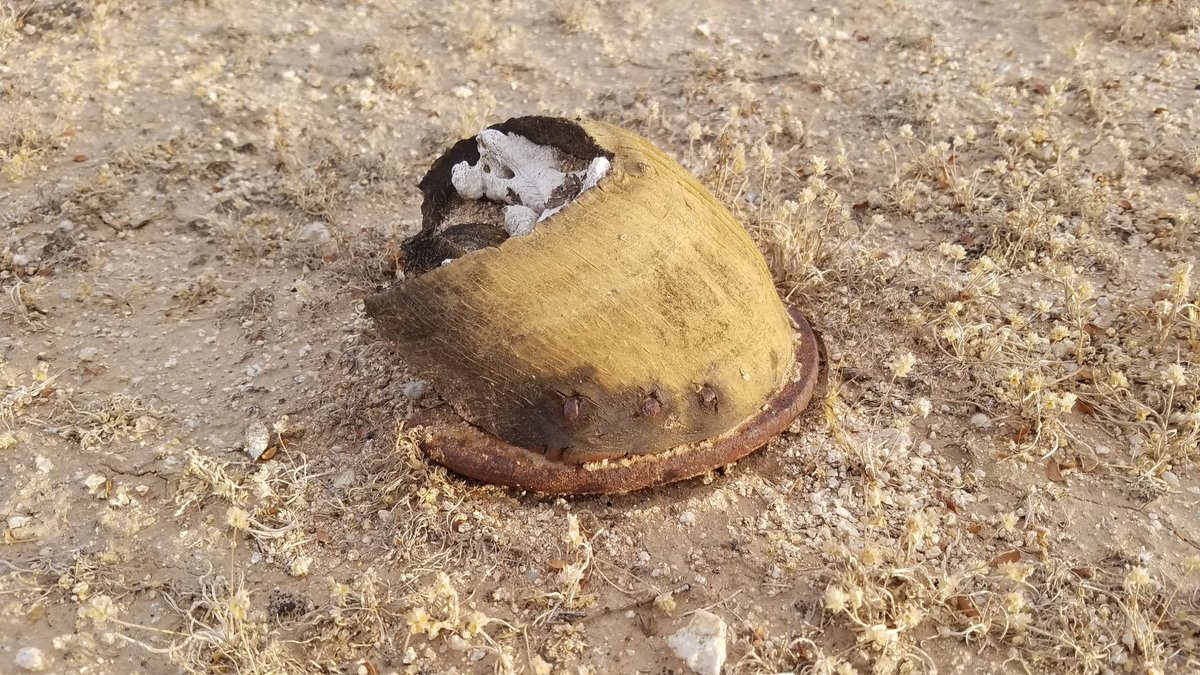 LShelton65's tweet photo. You never know what #wierdness you'll find when #Hiking #Explroring https://t.co/gj0lH12YYH