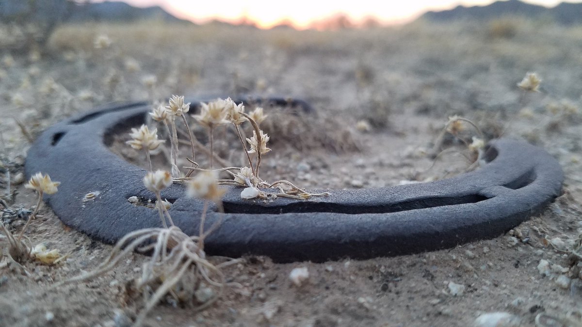LShelton65's tweet photo. You never know what #wierdness you'll find when #Hiking #Explroring https://t.co/gj0lH12YYH