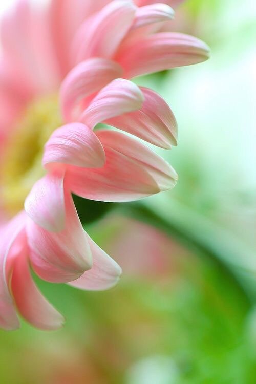 GailSmithTOR's tweet image. #andPERFECT!