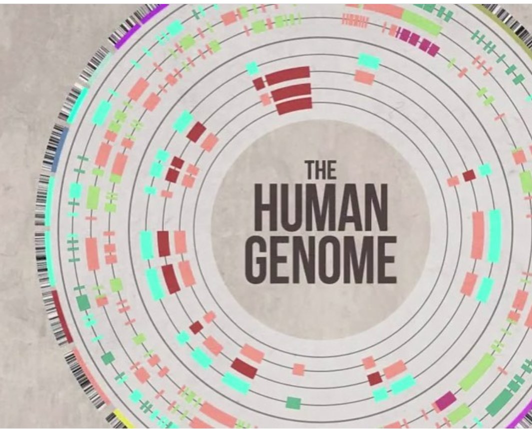 HumanGenomePro's tweet photo. #humangenomeproject https://t.co/o9QUX9ZGlc