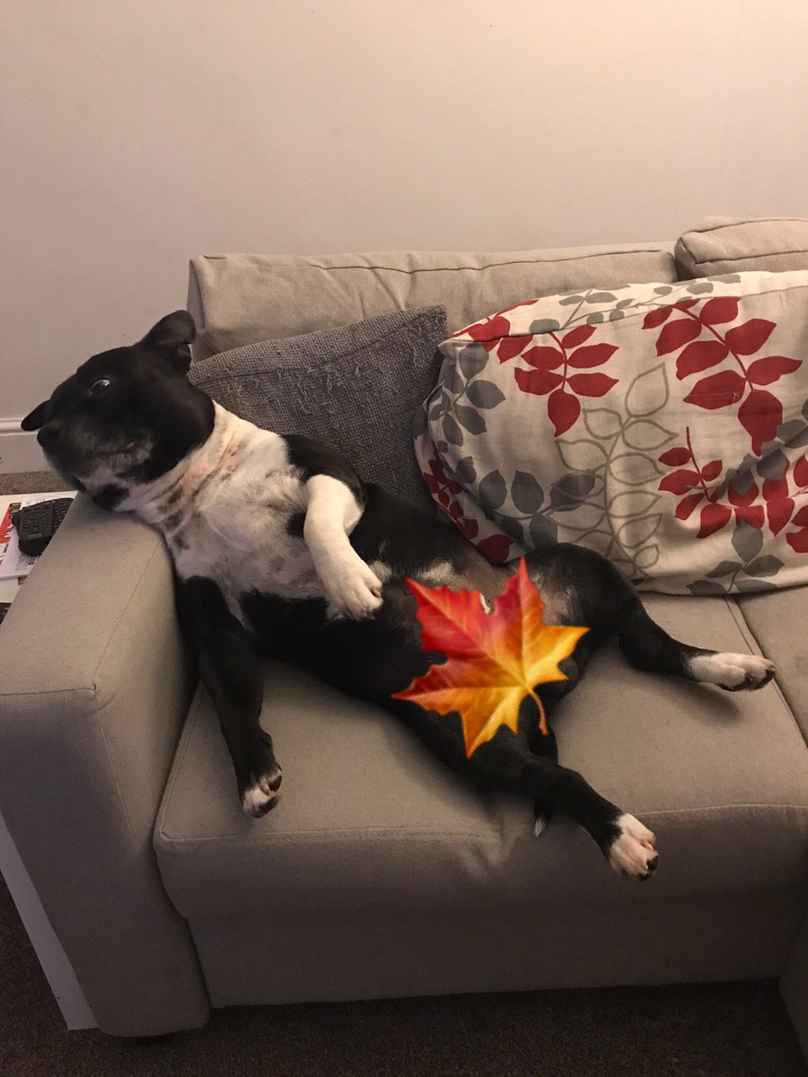 Michael Walker tweet media