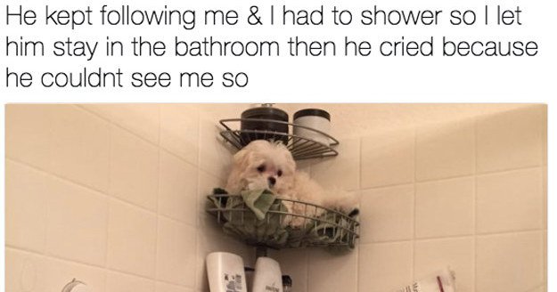 18 photos that prove animals have no concept of personal space 
bzfd.it/2sbcEiZ