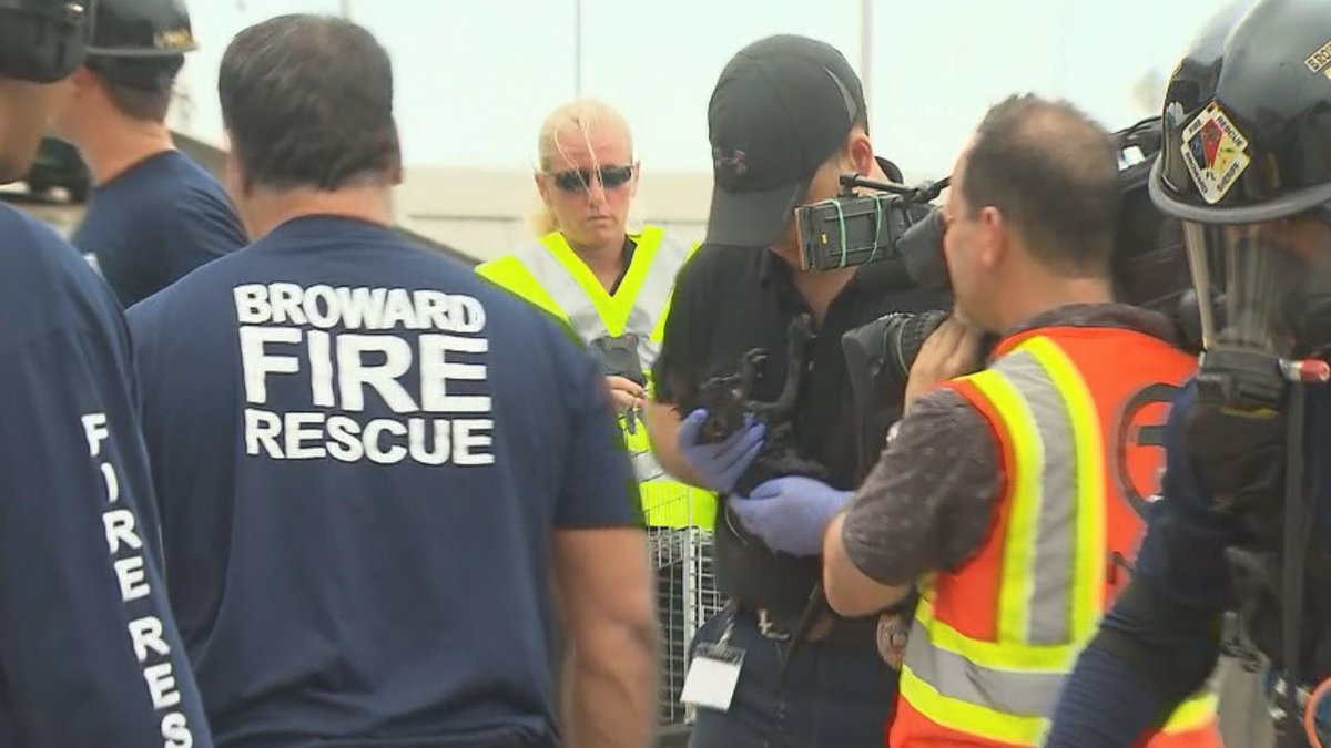 Crews rescue kitten stuck in Dania Beach highway storm drain bit.ly/2rlk0m5 https://t.co/I3qMnuSQjf