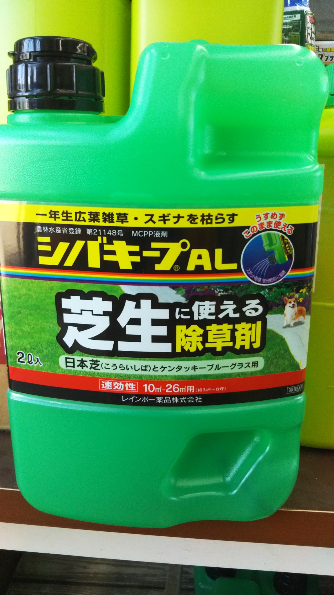 O Xrhsths ジョイフル本田 ガーデンセンター Sto Twitter ガーデンセンターひたちなか店 茨城 今回は 芝生の除草剤に注目 雑草は 芝生の中でも容赦なく生えてきますよね 芝生に使える除草剤 シバキープ シリーズ 粒剤タイプ 約3ヶ月の雑草防止と O Xrhsths ジョイフル本田 ガーデンセンター Sto Twitter ガーデンセンターひたちなか店 茨城 今回は 芝生の除草剤に注目 雑草は 芝生の中でも容赦なく生えてきますよね 芝生に使える除草剤 シバキープ シリーズ 粒剤タイプ 約3ヶ月の雑草防止と