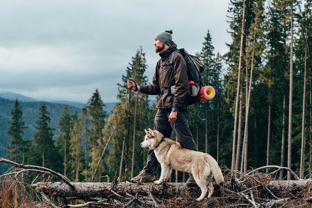 GoFetchca's tweet image. They don't call it Beautiful B.C. for nothing. Before you go exploring, check out these tips! #Canada150 #yvrdogs bit.ly/2qxm6jK